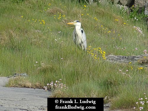 Aran Islands